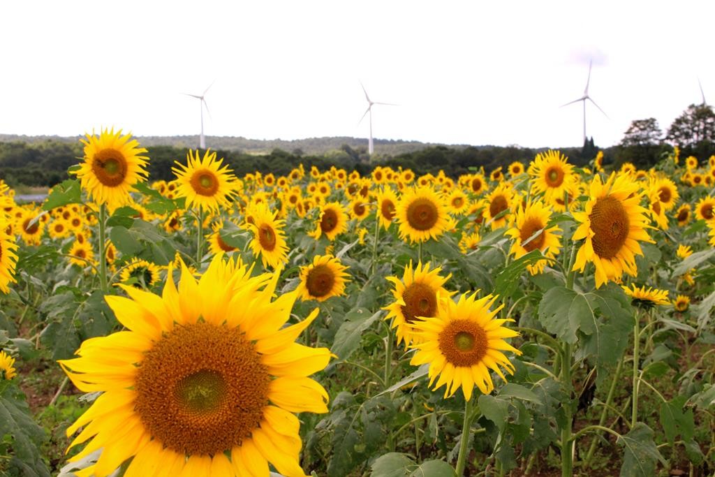 2015 Calendar 09 September