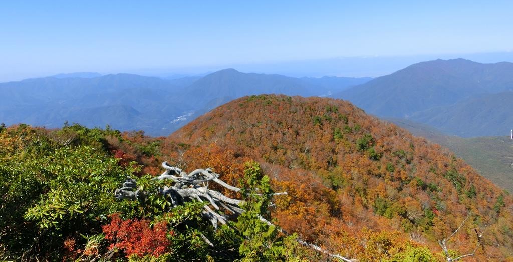 2015 Calendar 11 November